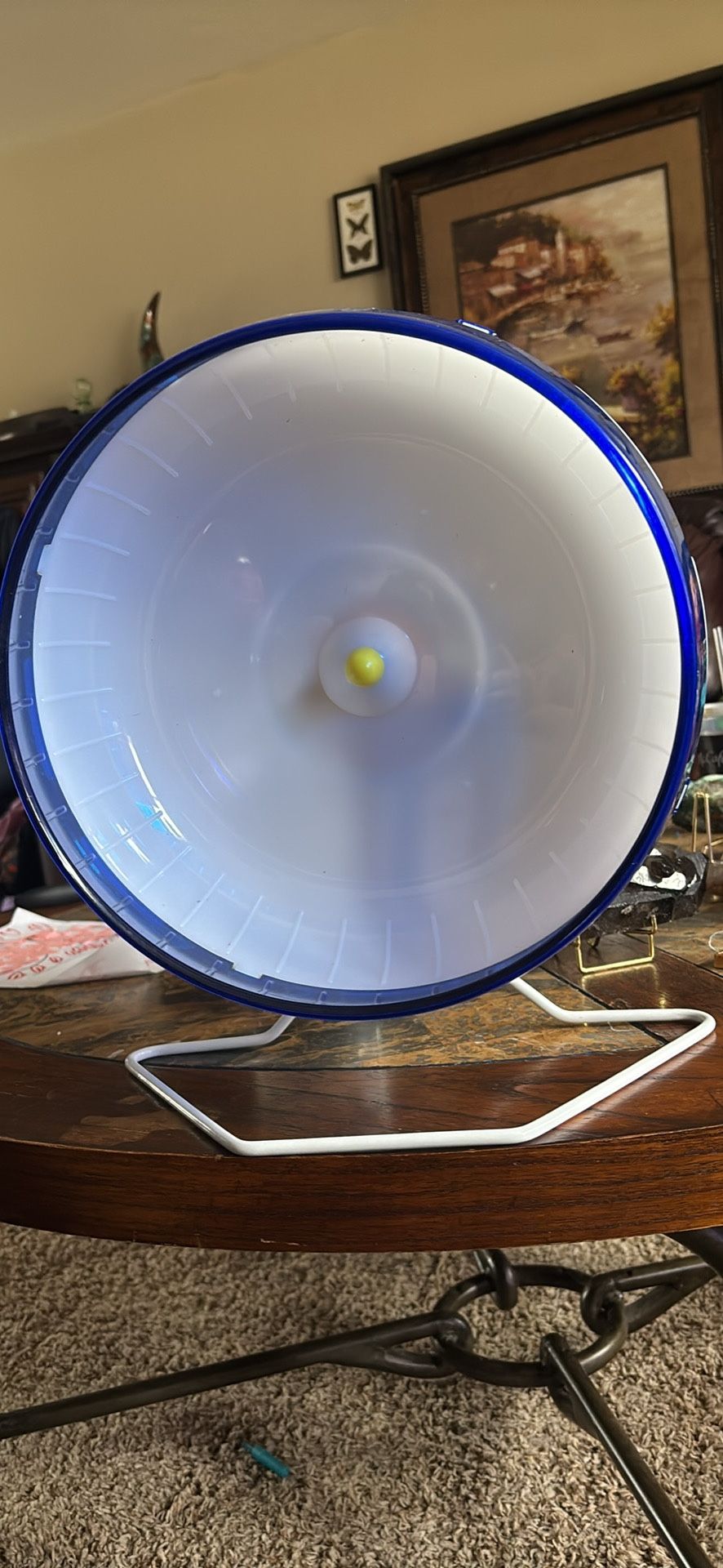 Chinchilla wheel