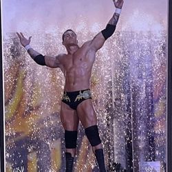 (2) Randy Orton WWE Authentic Official Photo 2004 