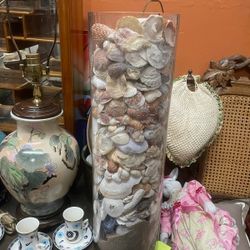 Large Glass Vase Full Of Sea Shells 