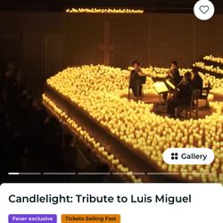 Luis Miguel Candlelight Tribute