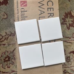 4”x4” WHITE Ceramic Wall/Floor Tile
