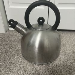 Stainless Steel Tea Kettle