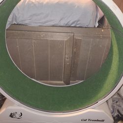 Cat treadmill