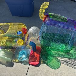 Two Hamster Cages With exercise balls, exercise, wheels, and much more