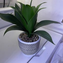 Faux Agave plant in ceramic pot