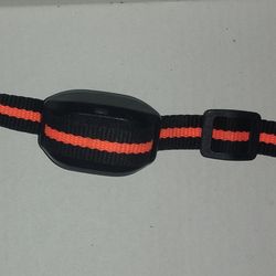 Pet Safe Dog training collar
