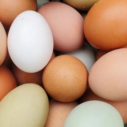 Eggs