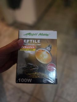 Heat bulb