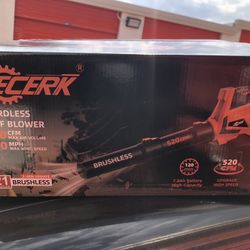 Leaf Blower Brushless  21 Volt  New