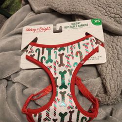 Holiday Candy Cane Harness XS