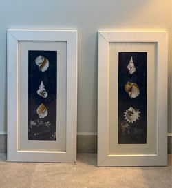 Seashell pictures