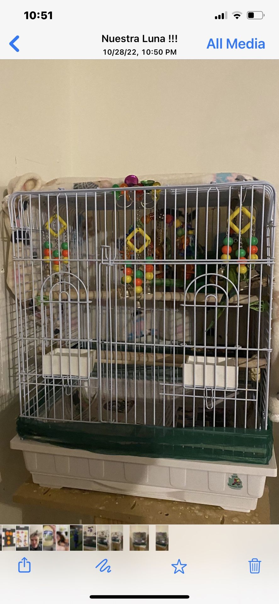 Bird Cage