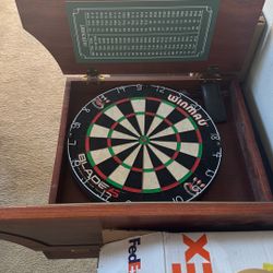 Dart Board With Case 