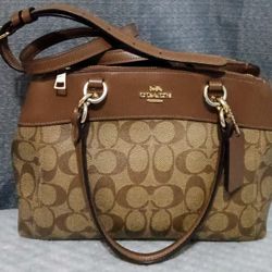 Coach Purse ( F26139)