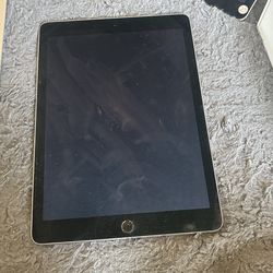iPad 100