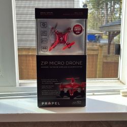 Worlds Tiniest Drone 