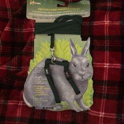 Rabbit harness