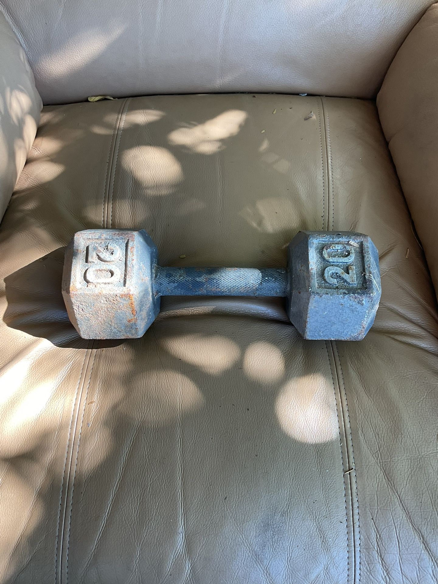 20 Pound Weight