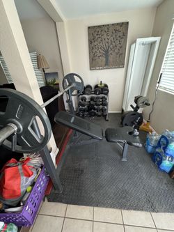 Bench Press and Dumbbells