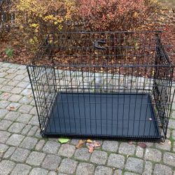 Dog kennel 22’-90’-25’