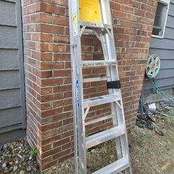Werner 6ft Aluminum Ladder 225lb Rating
