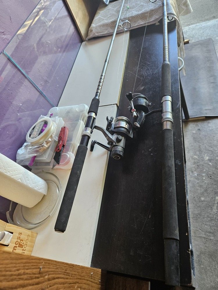 Two Fishing Poles Daiwa with Reels