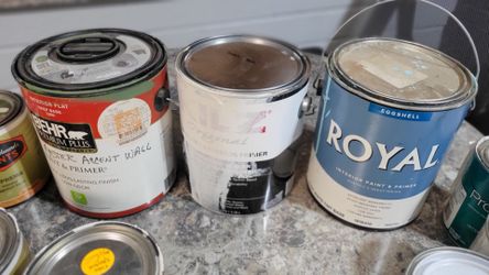 FREE PAINT