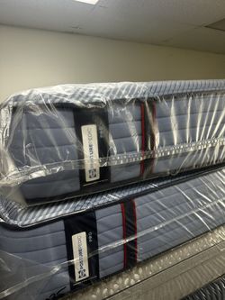 Sealy Mattress 