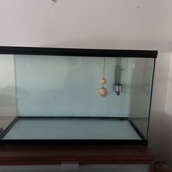 30 gallon Aquarium  / Terrarium