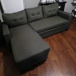Modern sectional w/pull-out bed