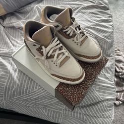 Jordan 3s 