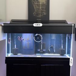75 Gallons Fish Tank 