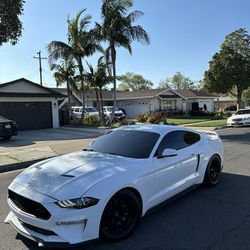 Oxford white hood for mustang