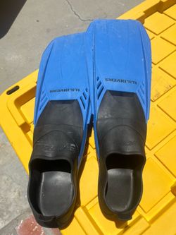 Dive or snorkel fins
