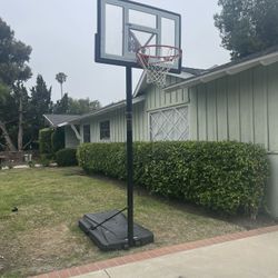 Lifetime Basketball Hoop
