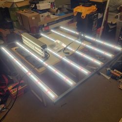 Fluence Grow Light