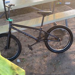 Elite BMX