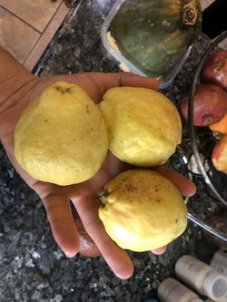 Guavas Are Fresh And Ready! Guayabas!!!