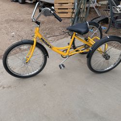 Beach Tri Bike (huskey)