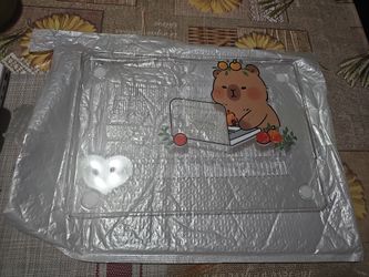 Hard plastic cover for lap top