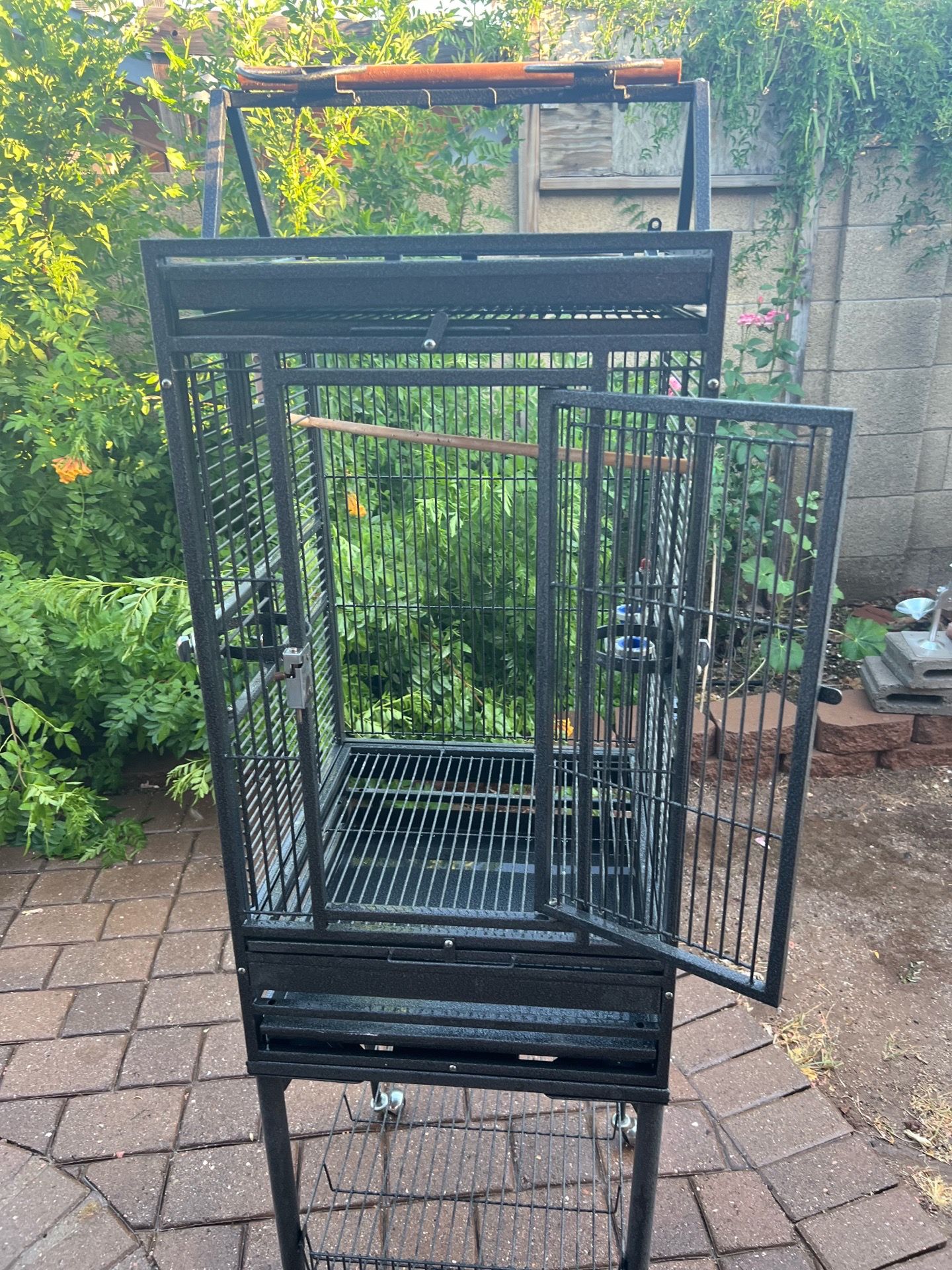 birds cage parakeets