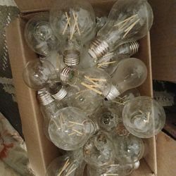 Light Bulbs 