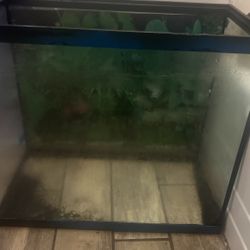 Fish Tank