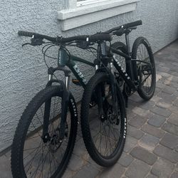 2 Giant Pedal Bikes