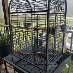 bird cage 