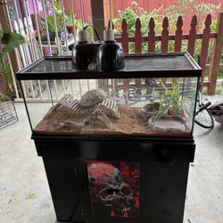 Reptile Setup 