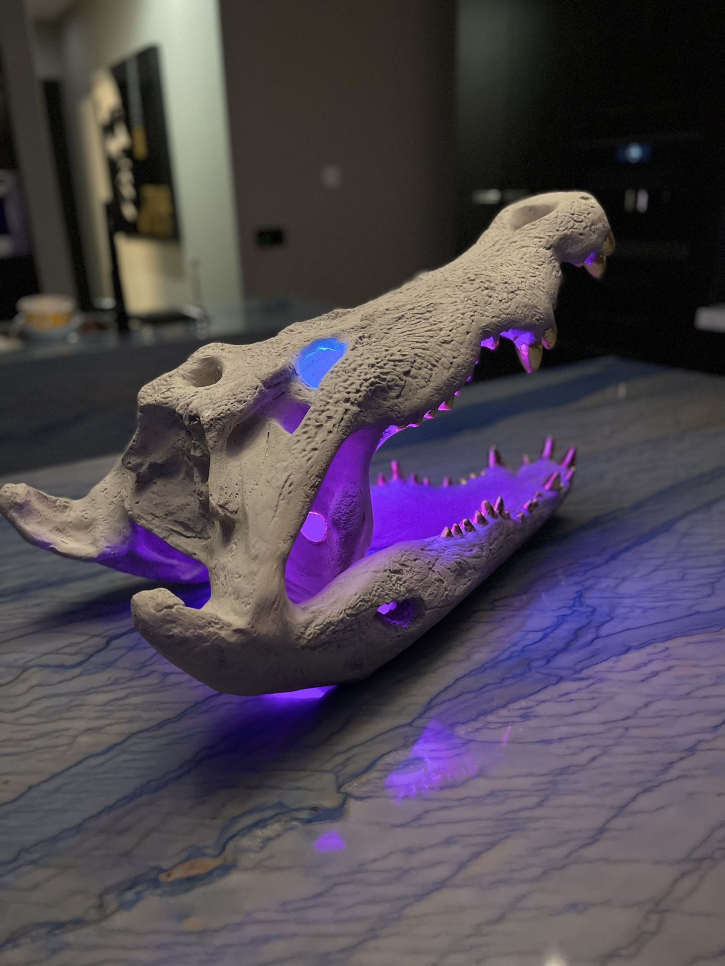 Crocodile Skull Art