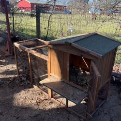 Chicken Coop 