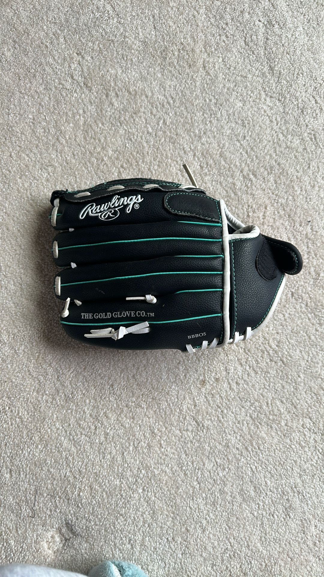 Fast Pitch Rawlings Glove