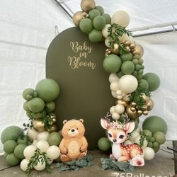 Backdrop Balloon Garland 